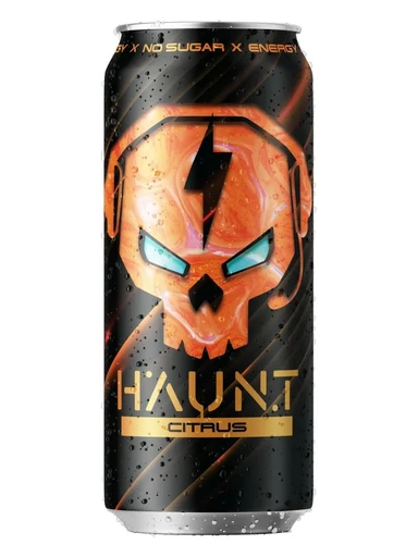 Fitness Food Factory HAUNT 450 мл Цитрус