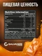 GALVANIZE Max Whey 2280 г - соленая карамель