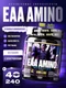 Reckful ® EAA 240g (Киви-Лайм)