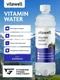 Fitness Food Factory Vitamin water Vitawell 500 мл Ежевика