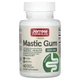 Jarrow Formulas Mastic Gum 500 MG, мастиковая смола, (60 капсул)